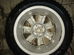 IMG_0630[1].jpg