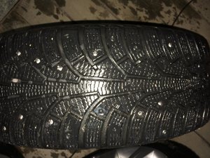 IMG_0631[1].jpg