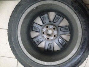 IMG_8948.jpg