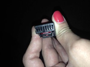 IMG_4697.jpg
