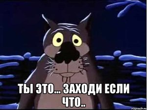 волк.jpg