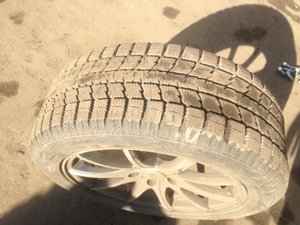 IMG_1048.jpg