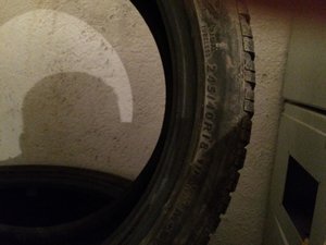 IMG_0310.jpg