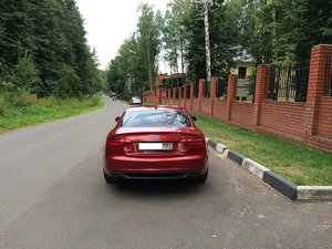 IMG_558411.jpg