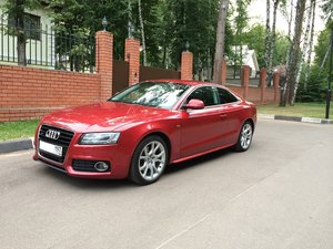 IMG_559511.jpg