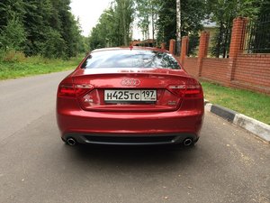 IMG_558511.jpg