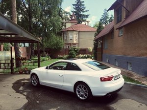 IMG_4623.jpg