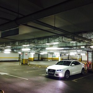 IMG_6173.jpg