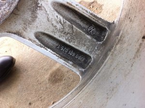 IMG_1784.jpg