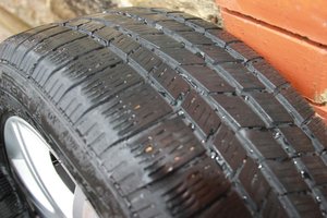 IMG_3169.jpg