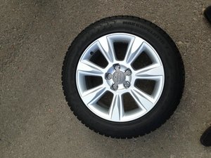 IMG_3498.jpg
