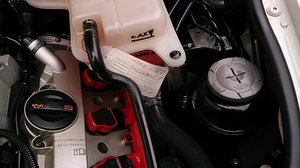DSC_0142.JPG