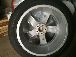 IMG_2102.jpg