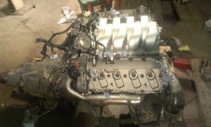 IMAG1127.jpg