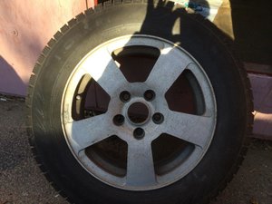 IMG_0208.jpg