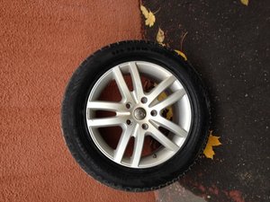 IMG_1613.jpg