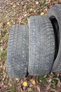 IMG_8828.jpg