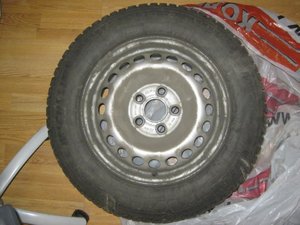 IMG_3911.jpg