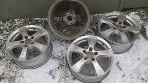 DSC_0515.jpg