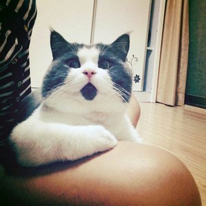 uploadfromtaptalk1414042395617.jpg