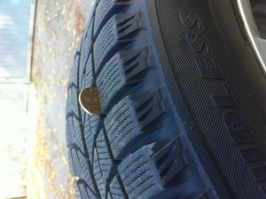 IMG_0556.jpg