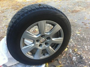 IMG_0557.jpg