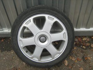 IMG_1449.jpg