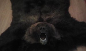 2013-12-17 20.15.16.jpg