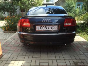 IMG_0950.jpg