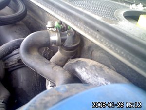 IMG155.jpg
