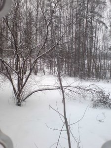 видизокна.jpg