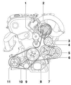 belts.gif