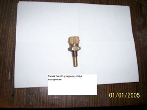 55.jpg
