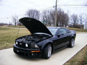3803_12.JPG