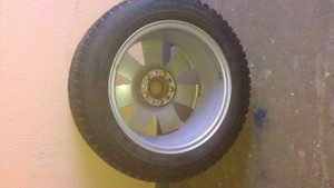 IMAG1459.jpg