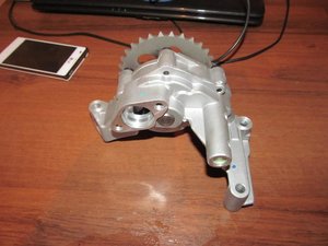 IMG_3479.jpg