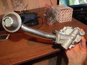 IMG_3491.jpg