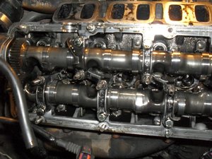 SDC12244.jpg