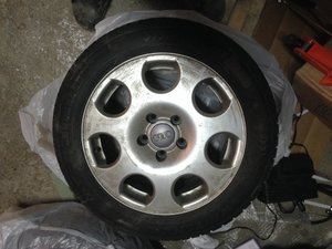 IMG_5355.jpg