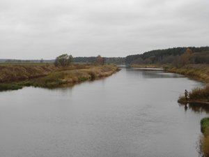 DSC00414.jpg