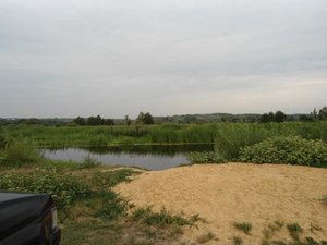 DSC00339.jpg