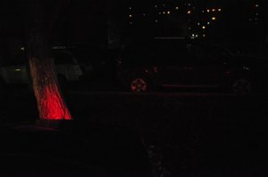 _DSC0046.jpg