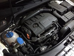 IMG_0426.jpg