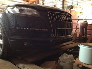 IMG_1286.jpg