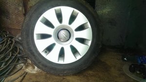 IMAG0747.jpg