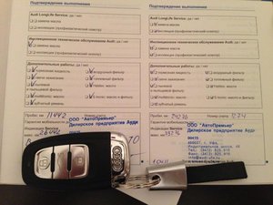 IMG_4333.jpg