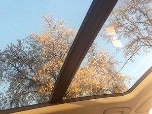 IMG_2868.jpg