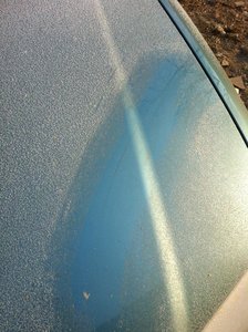 IMG_2775.jpg