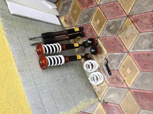 IMG_1519.jpg