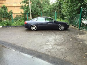 IMG_1203.jpg